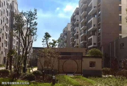 平南爆料热线最新电话,倾听民声，守护平安