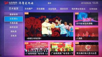 胶州最新爆料事件视频播放,视频揭露惊人真相，引发社会关注