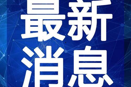 蛋仔最新资讯爆料视频,揭秘神秘游戏内幕与全新玩法