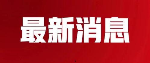 方城新闻最新爆料消息,重大事件背后真相揭晓！