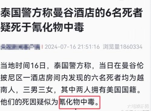 王子琪最新爆料新闻事件,揭开娱乐圈惊人内幕